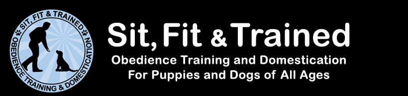 Dog Training Boca Raton Fl Puppy Trainers In Delray Beach